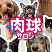 🐾肉球サロン🐾