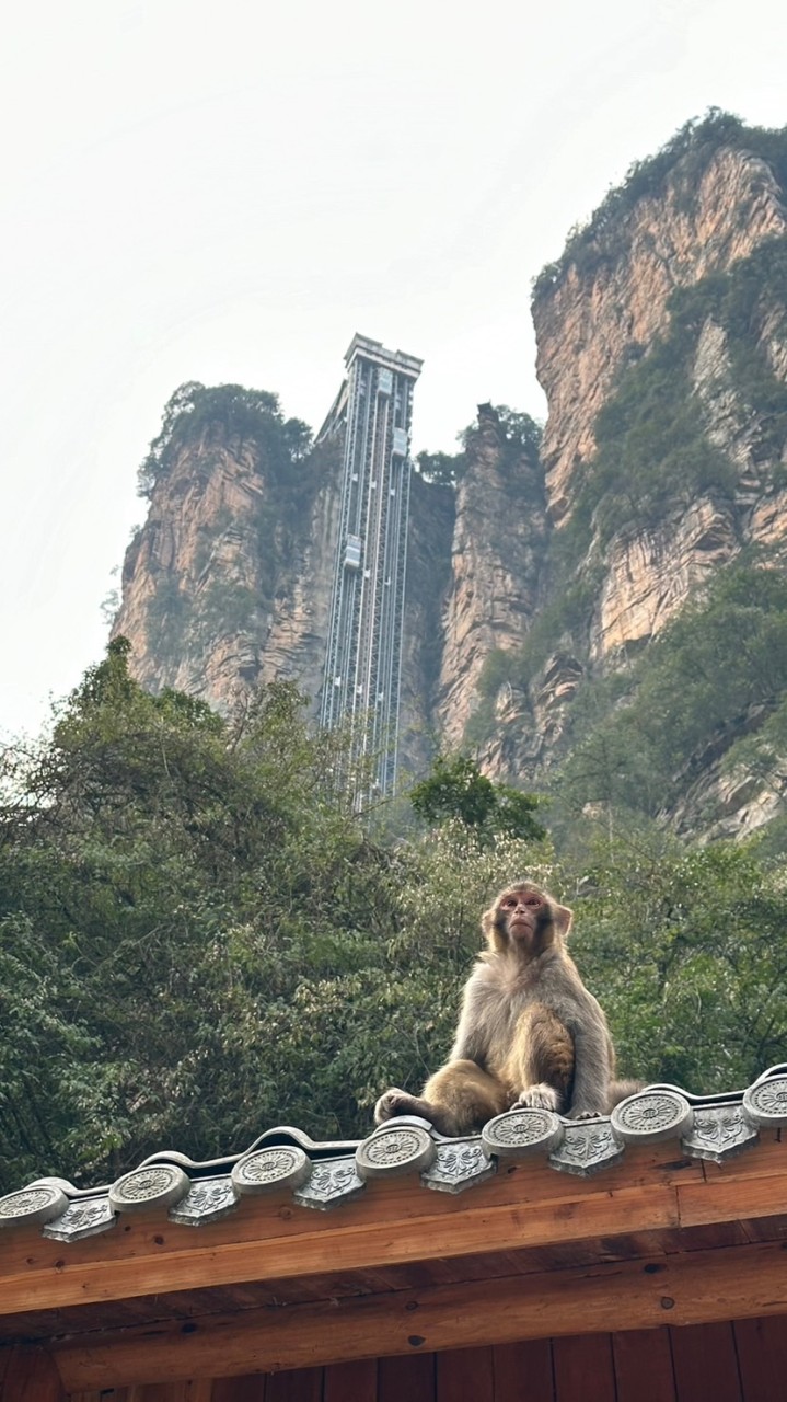 張家界 旅遊諮詢