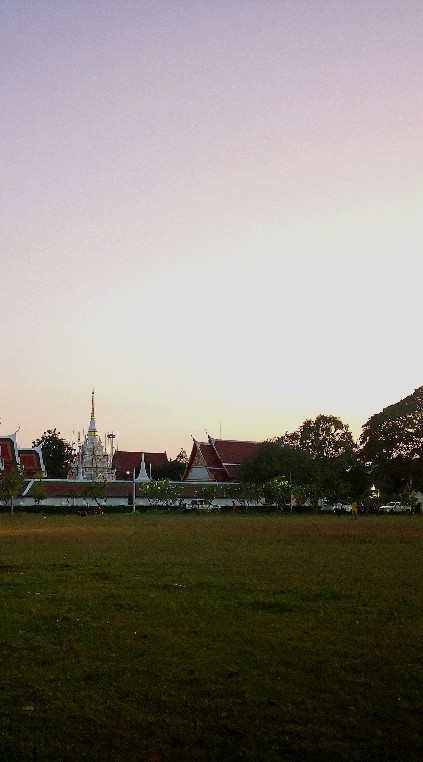 รวมพล คนไชยา