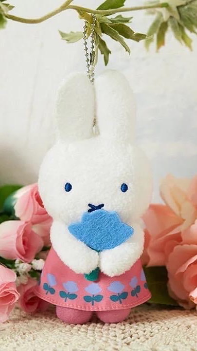🍎Miffy部屋/日本米飛兔/日本連線代購