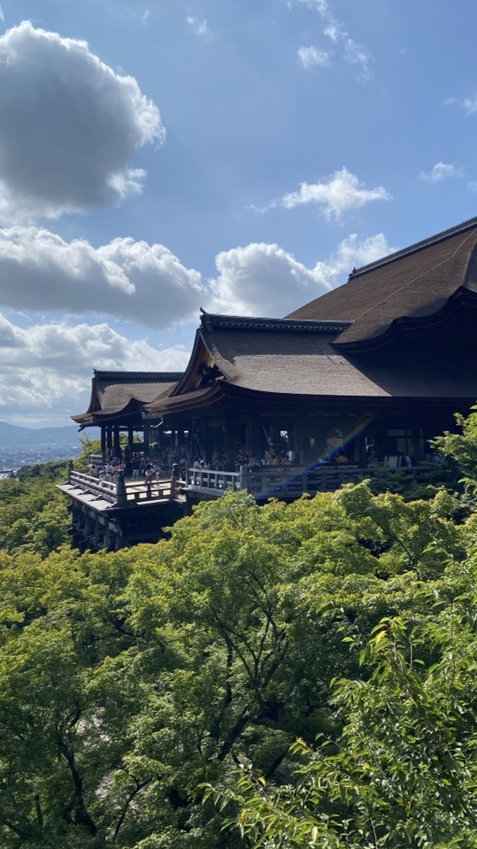 Ririmo8/13～8/21日本（熊本、福岡）