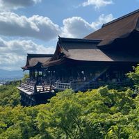 Ririmo8/13～8/21日本（熊本、福岡）