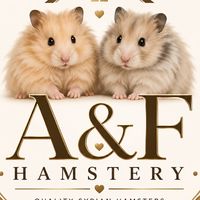 A&F HAMSTERY สำหรับพูดคุย อัพเดรทเด็กๆ สามารถพูดคุย
