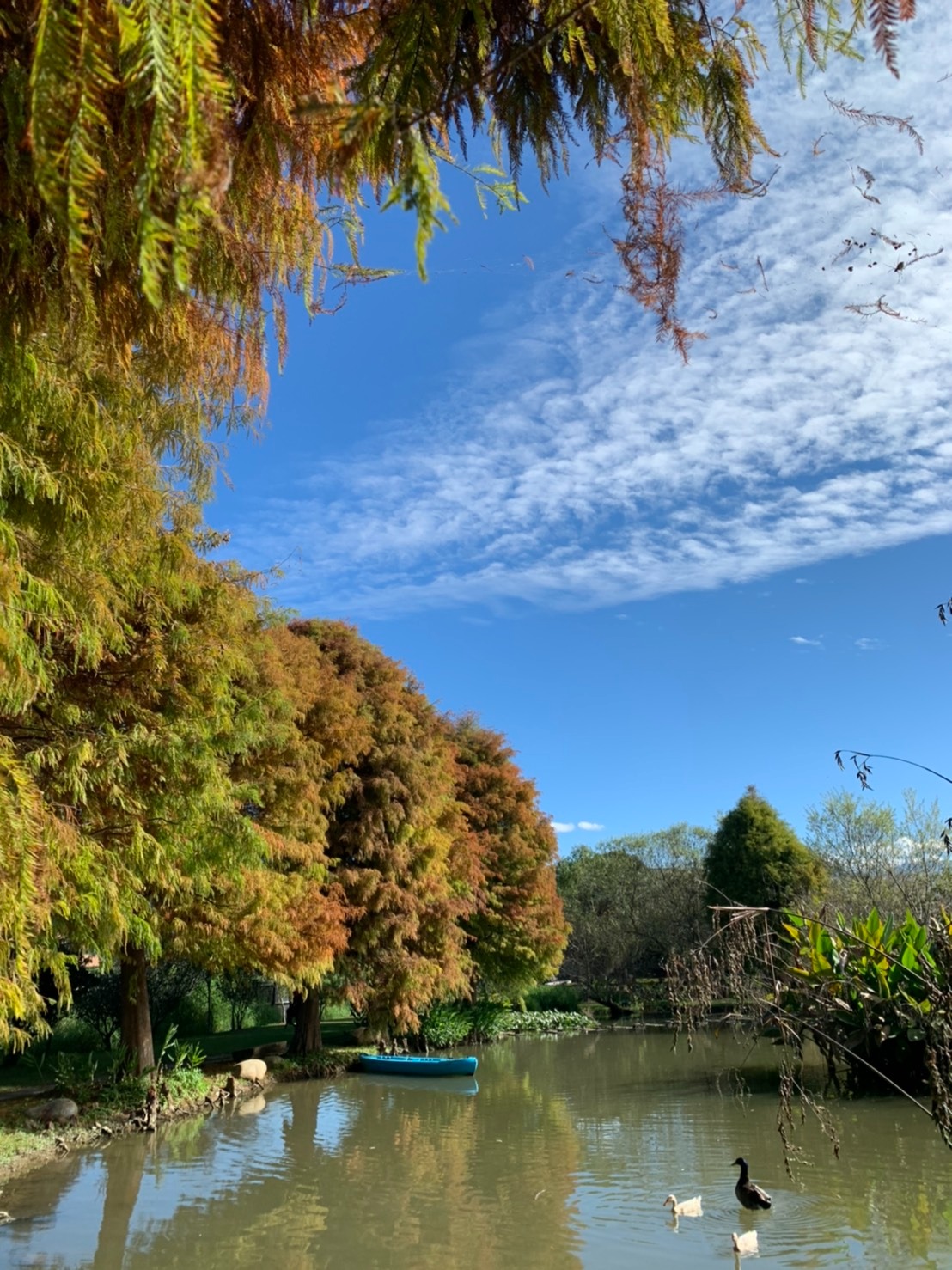 圖片來源/木佃軒南洋渡假休閒民宿-LINE熱點用戶