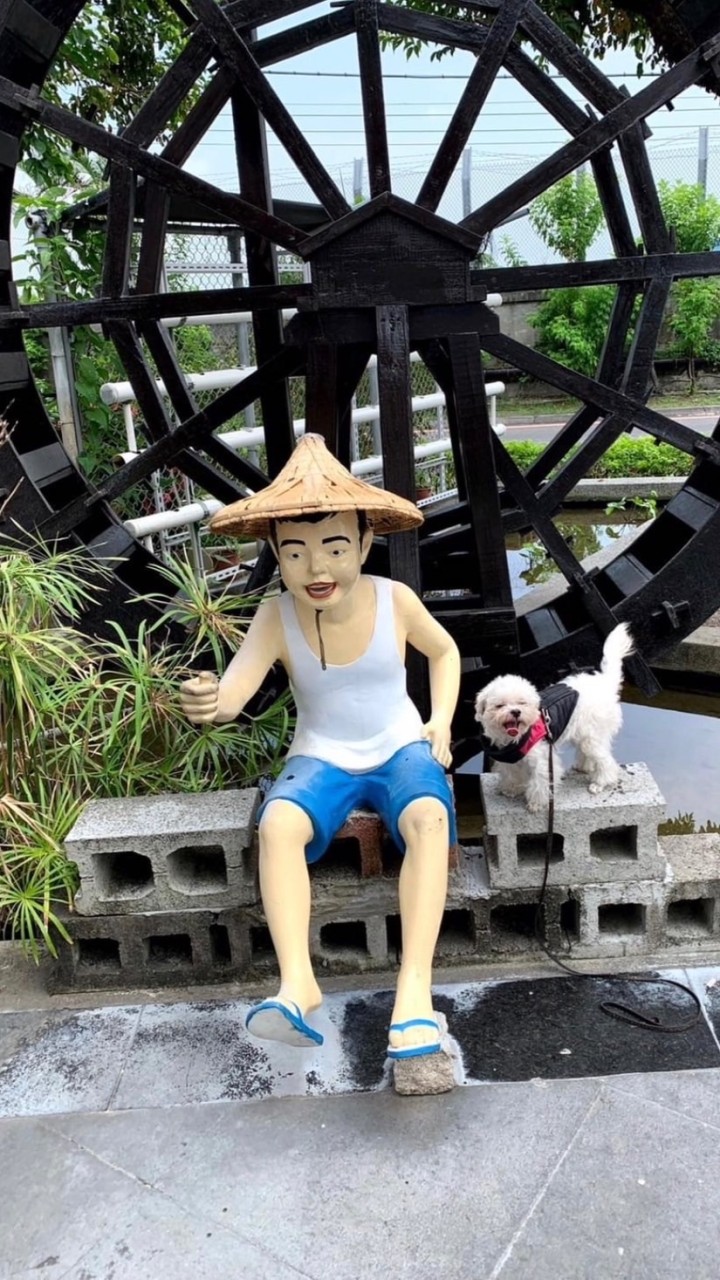 叫我拍（雲嘉南法拍屋代標）