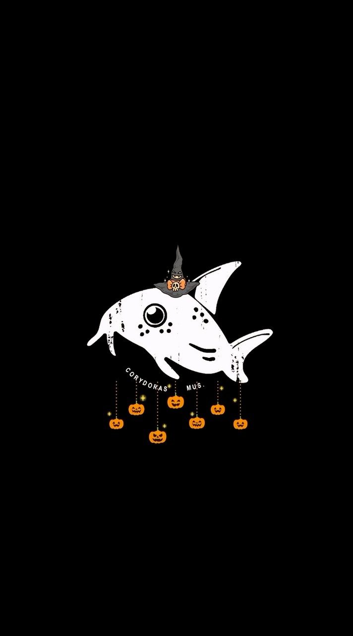 鼠博館 - 璞的鼠魚研究所