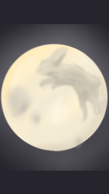 兎月༊*