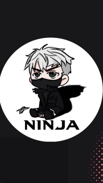 NinjaGuild_Japan (NGG)/暗号資産(仮想通貨)・Web3コミュニティ