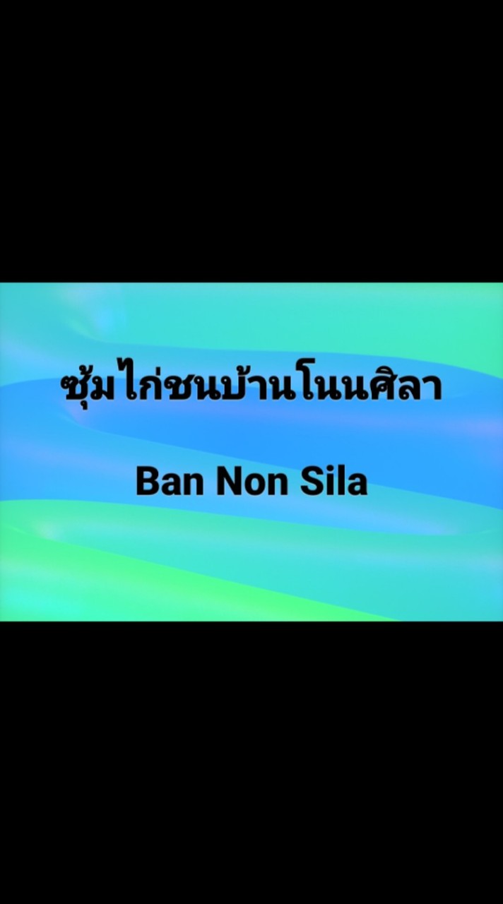 ซุ้มไก่บ้านโนนศิลา