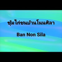 ซุ้มไก่บ้านโนนศิลา