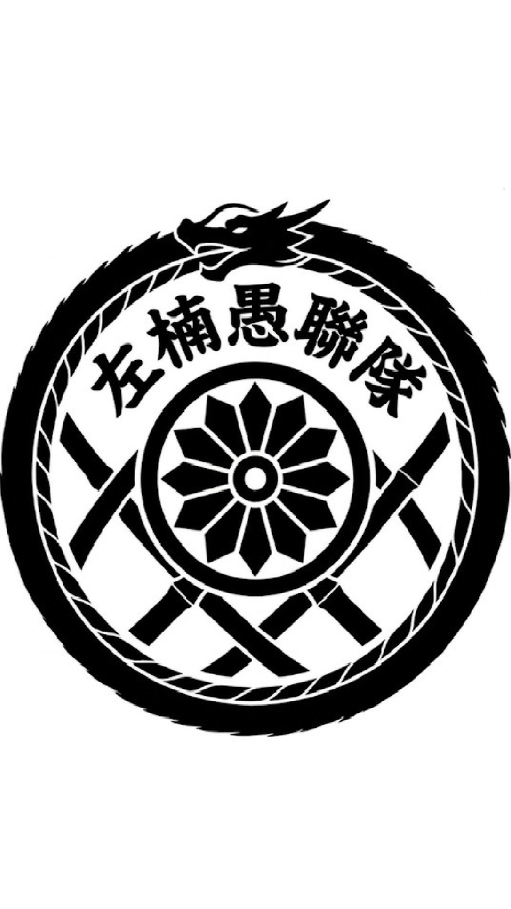 左楠陀螺手