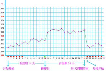 醫生 我是不是發燒了 體溫多少才算正常呢 媽媽經 Line Today