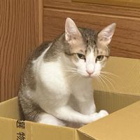 宅宅動起來！