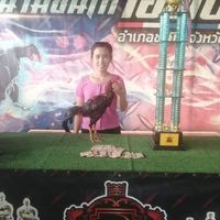 เก้าเจริญ ฟาร์ม