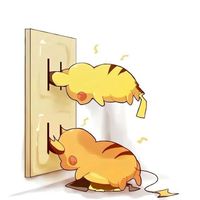 ptcgpocket 討論／對戰分享／交換群
