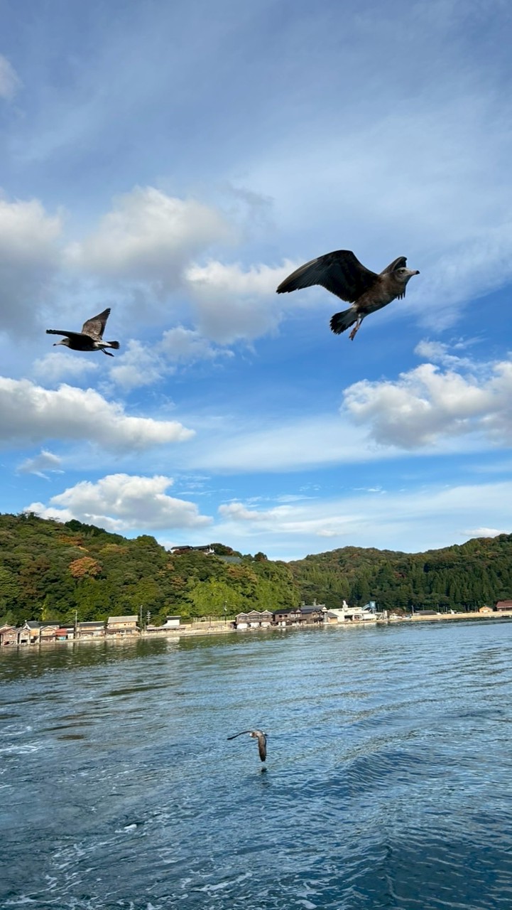 長青學苑土風舞班