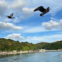 長青學苑土風舞班
