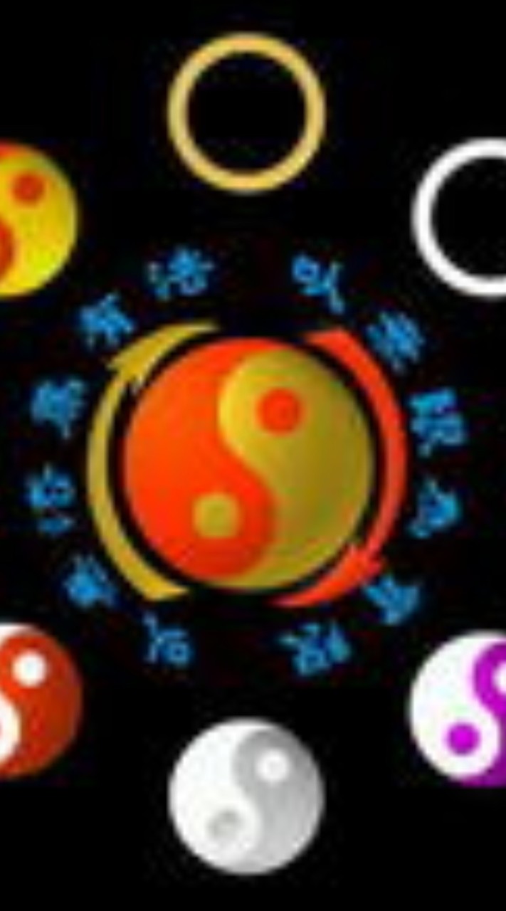 TWOJKD振藩截拳道/美國科州原本截拳道