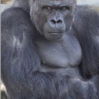 【メンズ脱毛・ヒゲ脱毛】お悩み相談所（レス早）