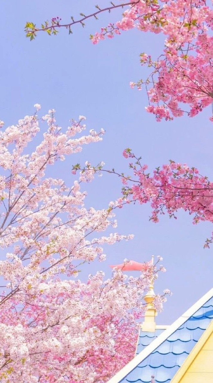 ⚘️醞釀情感l⚘️訴說情愛聊天⚘️