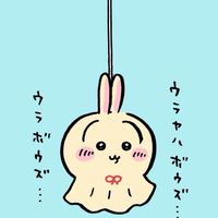 兔兔🐰日本🇯🇵吉伊卡哇佛系代購