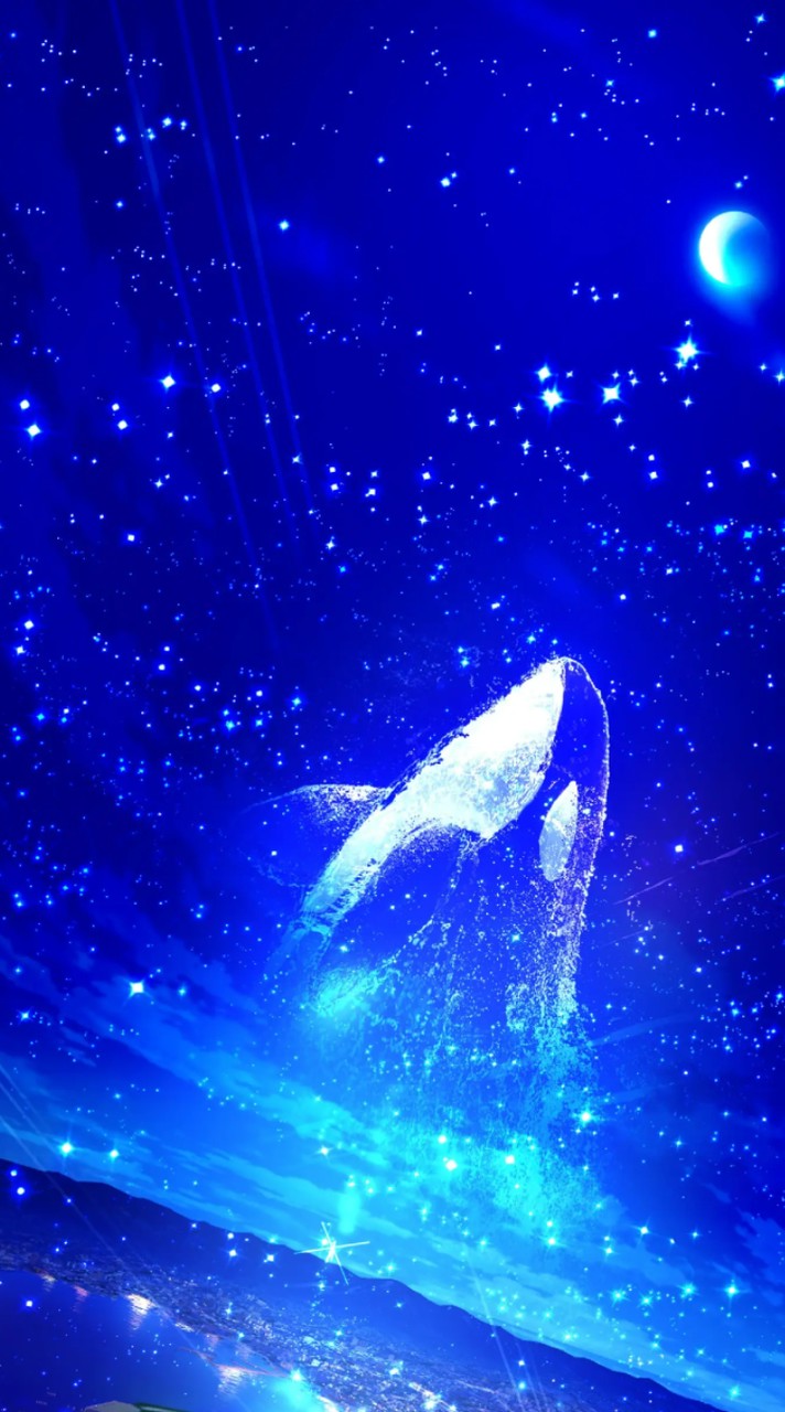 かまってくれるひとだけきてねん·͜· ꕤ︎︎