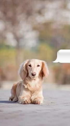 23.1.28 雲林教學活動