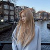 🍒  로 맨 틱  오 차 드 ‧₊˚♡‧₊˚