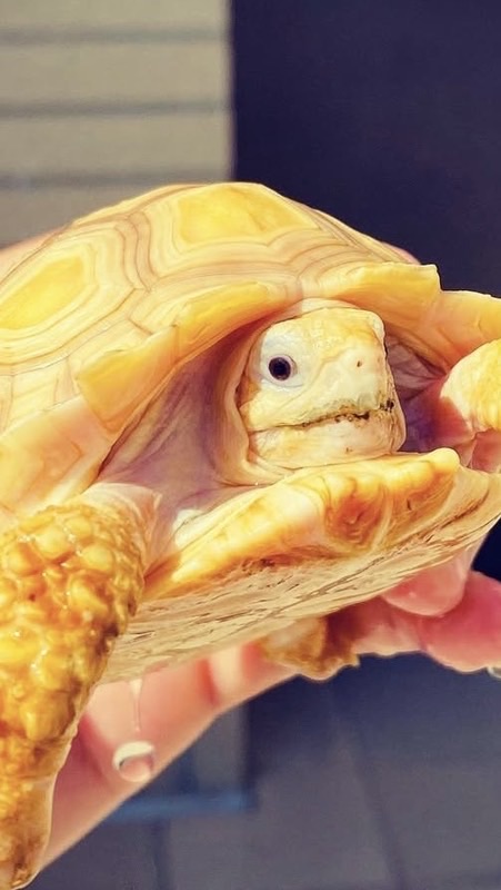 陸龜第一線課程人員