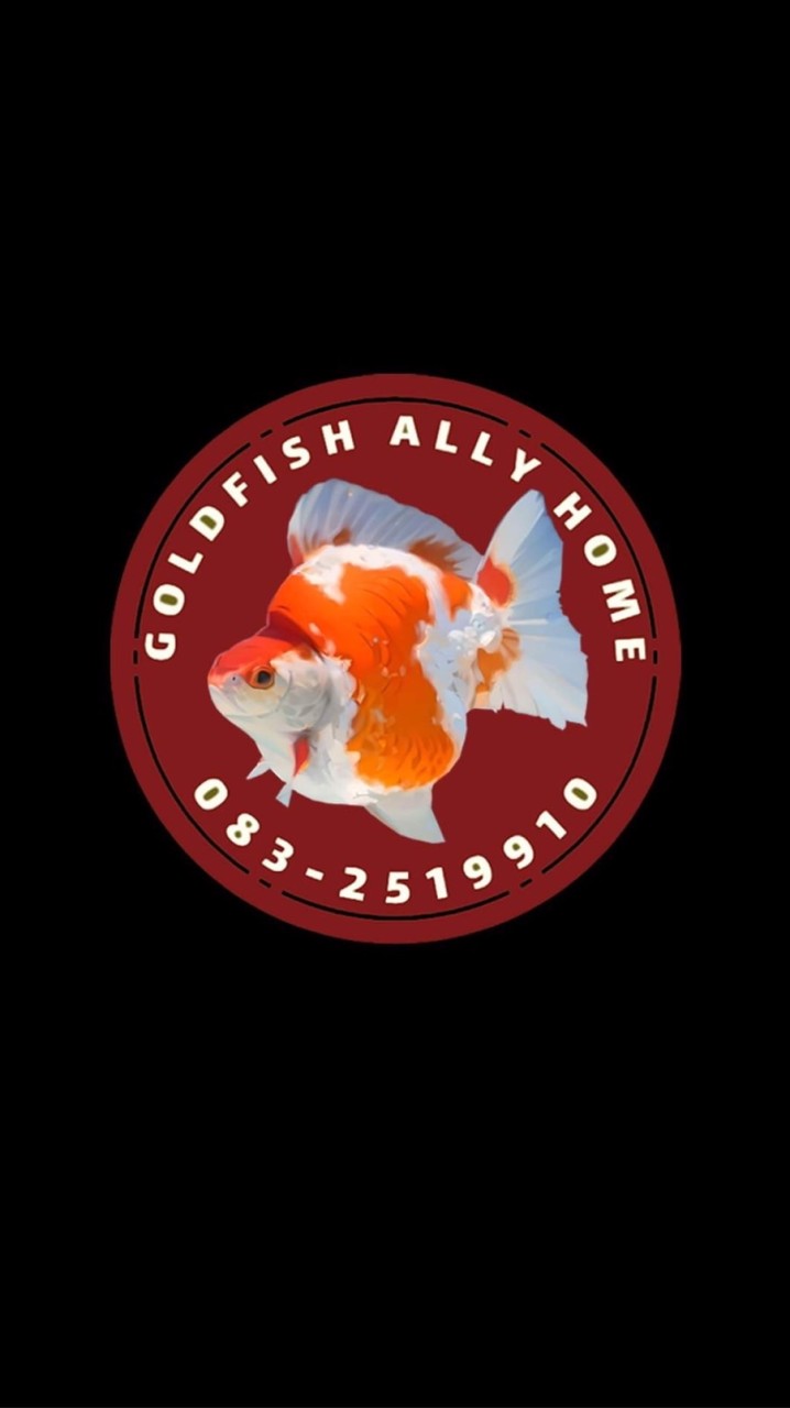ประมูลซื้อขายปลา Goldfish Ally Home