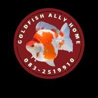 ประมูลซื้อขายปลา Goldfish Ally Home