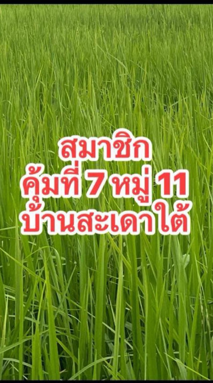 ชุมชนบ้านสะเดาใต้ หมู่ 11.        (สมาชิกคุ้มที่ ๗) จ.พิษณุโลก