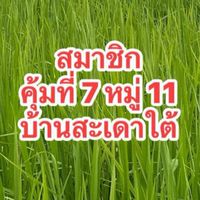 ชุมชนบ้านสะเดาใต้ หมู่ 11.        (สมาชิกคุ้มที่ ๗) จ.พิษณุโลก