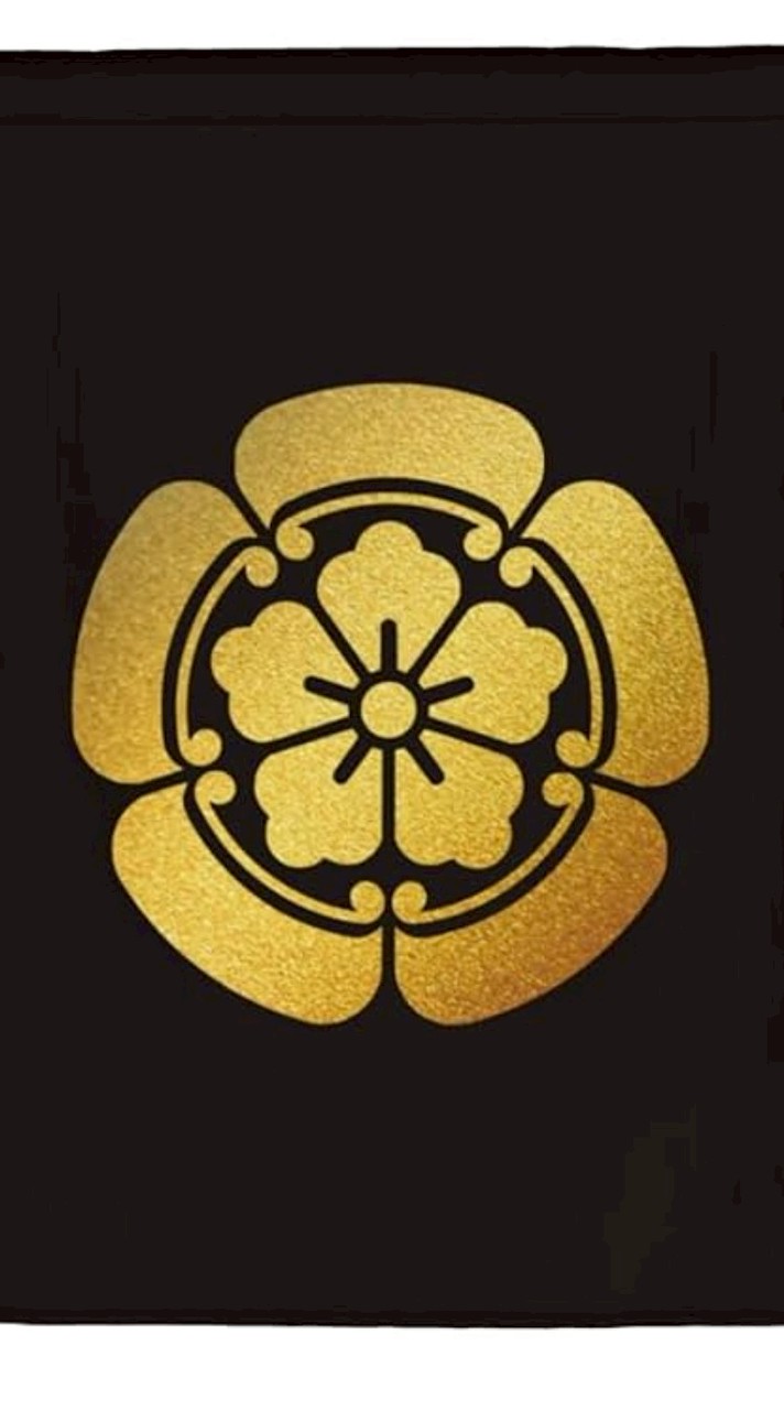 黑色沙漠-天下布武