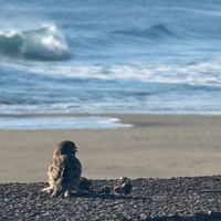 Ｒ40〜〜夢の島〜〜