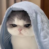 室內裝修解惑中心