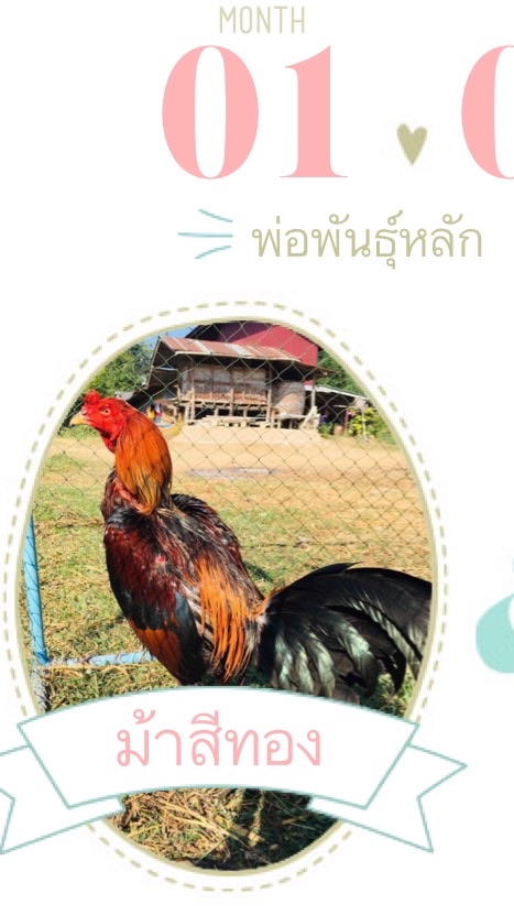 บ้านเนิน ฟร์าม.