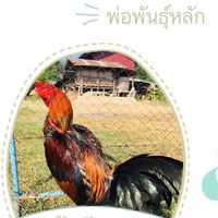 บ้านเนิน ฟร์าม.