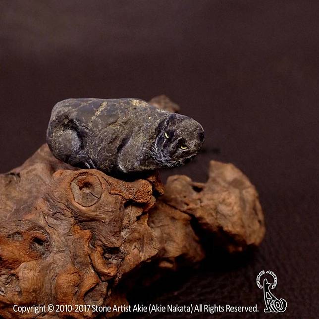 12 Karya Lukis Batu Mirip Hewan Asli Ini Hasilnya Bikin Takjub