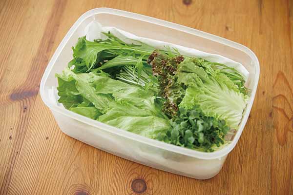 葉もの野菜の保存方法 ひと手間で長持ち 外出自粛中の 買いだめ で役立つ