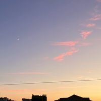 制作物監査