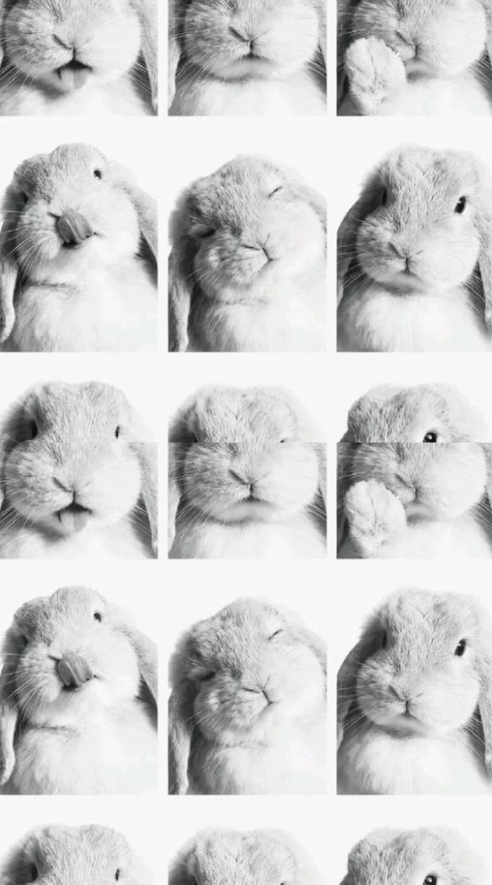 คนน่ารัก 2019