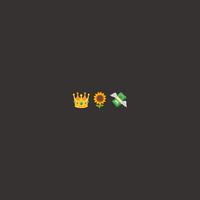 🌻 VIP ถุงแป้ง 👑