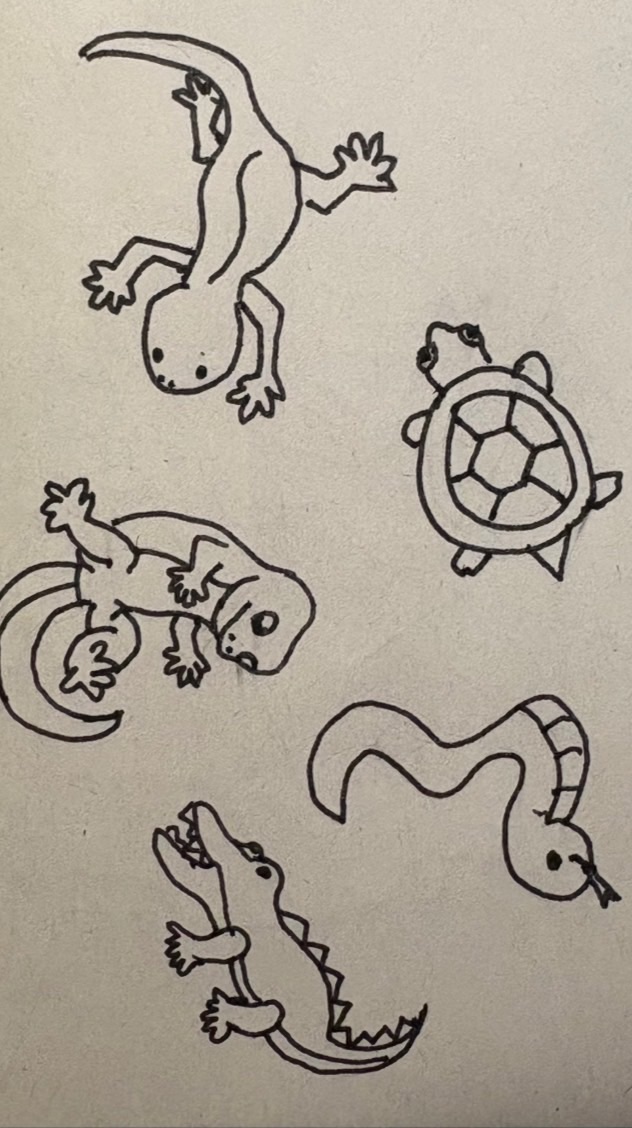 爬虫類を飼っている人、爬虫類が好きな人、みんな集まれ‼️🐢🦎🐍