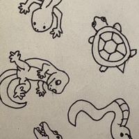 爬虫類を飼っている人、爬虫類が好きな人、みんな集まれ‼️🐢🦎🐍