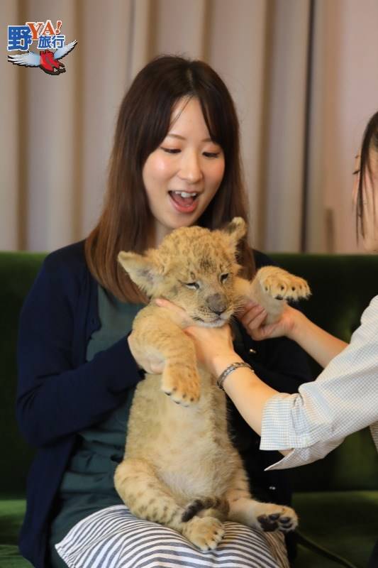 九州自然動物園 親子旅遊最佳景點 @去旅行新聞網