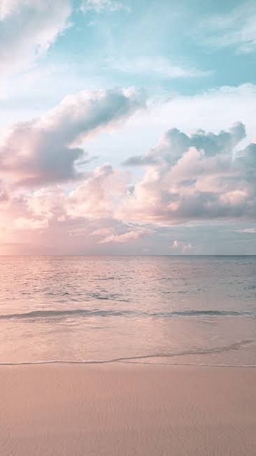 (Acadex) Sunsation, Ocean city, Maryland 🌊