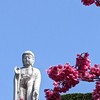 別居しますか？しませんか？