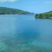 バウンティ交換、買取なんでもおけ。みんな来てね