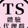 TS體驗代理群